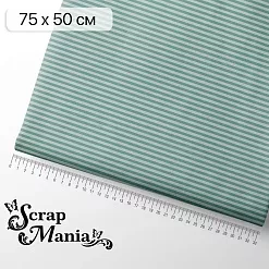 Отрез ткани 75х50 см "Школьная жизнь. Темно-бирюзовая полоска" (ScrapMania) Отрез ткани 75х50 см "Школьная жизнь. Темно-бирюзовая полоска" (ScrapMania)