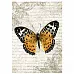 Тканевая карточка мини "Весенние трели. Тигровая бабочка" (ScrapMania)