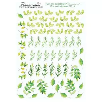 Скрап-карта А4 "Весенняя зелень" (Scrapmama)