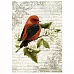Тканевая карточка "Летние краски. Птица" (ScrapMania)