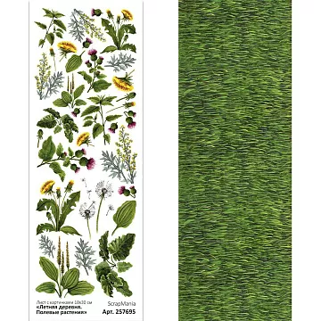 Лист с картинками 10х30 см "Летняя деревня. Полевые растения" (ScrapMania)