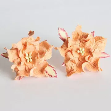 Гардения "Персиковая", 1 шт (Craft)