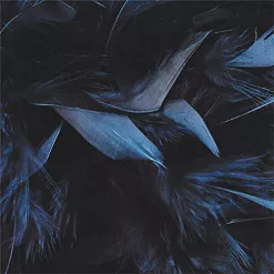 Бумага "Викинги. Мудрый ворон" (ScrapMania)