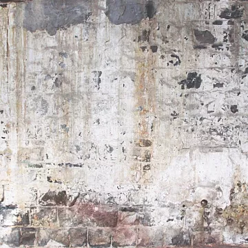 Бумага "Basecoat IV. Backyard fence" (Kaiser)
