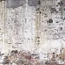 Бумага "Basecoat IV. Backyard fence" (Kaiser)