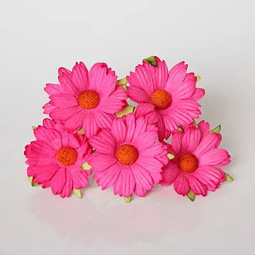 Букет крупных ромашек "Фуксия", 5 шт (Craft)