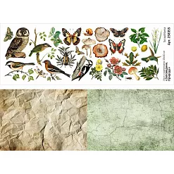 Лист с картинками 10х30 см "Заповедник. Природа" (ScrapMania) Лист с картинками 10х30 см "Заповедник. Природа" (ScrapMania)