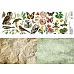 Лист с картинками 10х30 см "Заповедник. Природа" (ScrapMania) Лист с картинками 10х30 см "Заповедник. Природа" (ScrapMania)