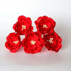 Букет магнолий "Красный", 5 шт (Craft)