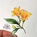 Набор высечек из ткани "Крокусы", 33 шт (RozeFlowers)