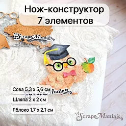 Нож "Школьная жизнь. Умная сова", 5,3х5,6 см (ScrapMania)