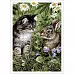 Тканевая карточка "В мире животных. Котенок и кролик" (ScrapMania)