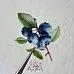 Набор высечек из ткани "Ягодное лукошко", 19 шт (RozeFlowers)
