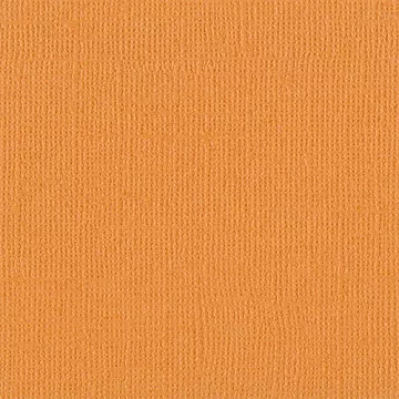 Кардсток Bazzill Basics 30,5х30,5 см однотонный с текстурой холста, цвет абрикосовый