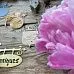 Нож "Старинные вывески", 5,4х6,7 см (MimiCut)