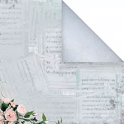 Бумага "Нежный стиль. Музыкальные произведения" (Mr.Painter)