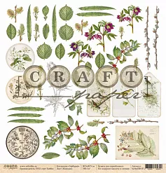 Бумага "Гербарий. Находки" (CraftPaper)