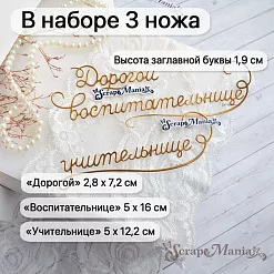 Нож "Дорогой учительнице, воспитательнице", 2,5х16 см (ScrapMania)
