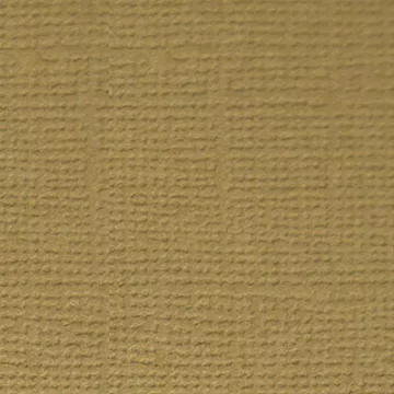 Кардсток "Грецкий орех" (Mr.Painter)