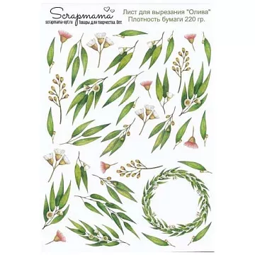 Скрап-карта А4 "Олива" (Scrapmama)