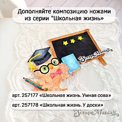 Нож "Школьная жизнь. Умная сова", 5,3х5,6 см (ScrapMania)
