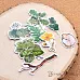 Набор высечек из бумаги "Заповедник", 43 шт (ScrapMania)