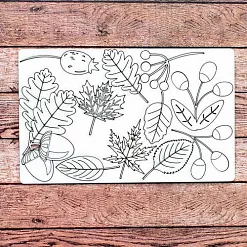 Набор украшений из чипборда "Осенние травы" (Woodheart)