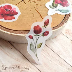 Набор высечек из веллума "Марсала" (ScrapMania)