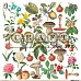 Бумага "Самая нужная. Флора" (CraftPaper)