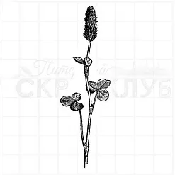 Штамп "Клевер малиновый", 2,6х8,5 см (Скрапклуб)