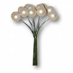 Букет веточек "Белый жемчуг", 12 шт (Stamperia)