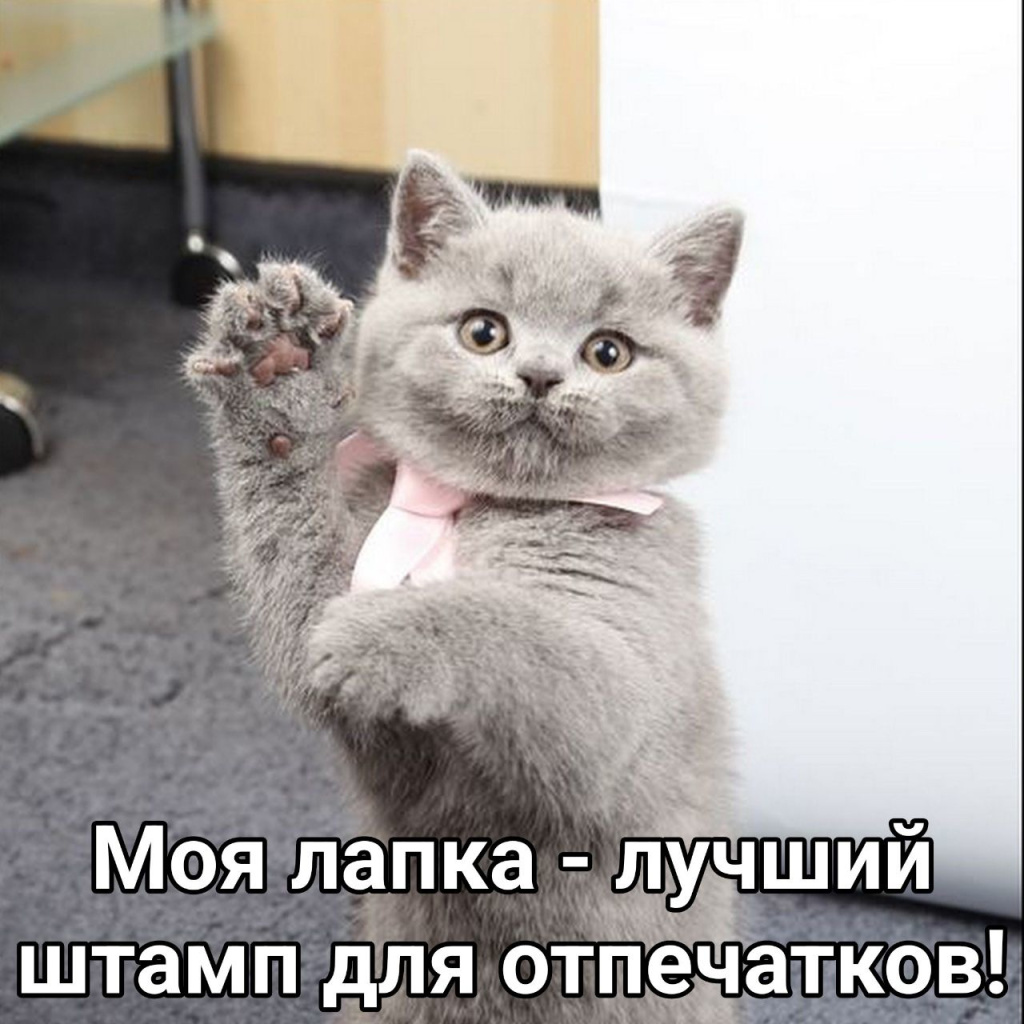 CWeexou2AfU.jpg