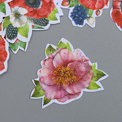 Набор вырубок "Summer flowers" (Фабрика Декору, FDSDC-04085, сима 5490643