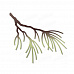 Нож для вырубки "Pine Branch 1" (Dee's Distinctively)