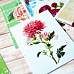 Набор карточек "Летняя феерия", 16 шт (ScrapMania)