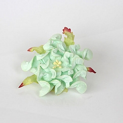Гардения большая "Мятная", 7 см, 1 шт (Craft)