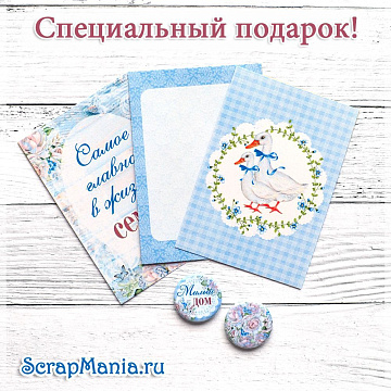 Набор карточек и фишек "Родной дом. Эксклюзив" (ScrapMania)