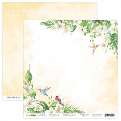 Бумага "Primavera 1" (ScrapBoys, PRIM-01