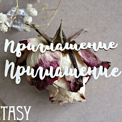 Набор украшений из чипборда "Приглашение 1041" (Fantasy)