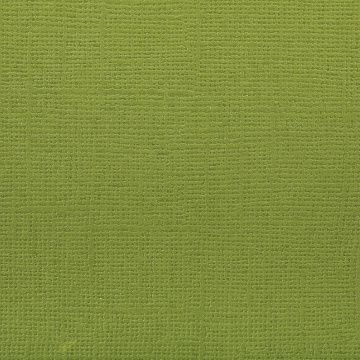 Кардсток с текстурой холста "Сочный лайм" (Mr.Painter)