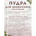 Пудра для эмбоссинга с глиттером "Созвездие Ориона", 10 гр (Фрактальные краски)