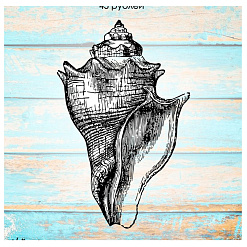 Штамп "Морская раковина", 2х3 см (Креатив)