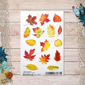 Набор наклеек А6 "Школьный вальс. Листья" (ScrapMania)