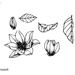 Штамп "Цветы магнолии", 4х3,4 см (Арт-кладовая)