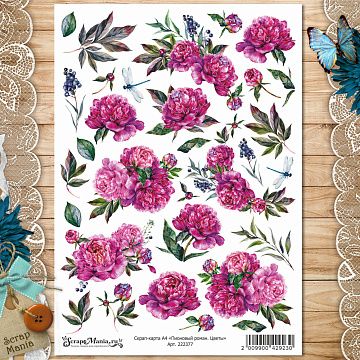 Скрап-карта А4 "Пионовый роман. Цветы" (ScrapMania)