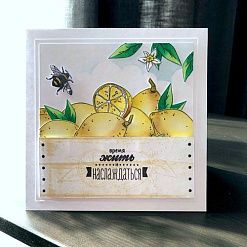 Штамп "Лимон на веточке", 5х3 см (Скрапклуб)