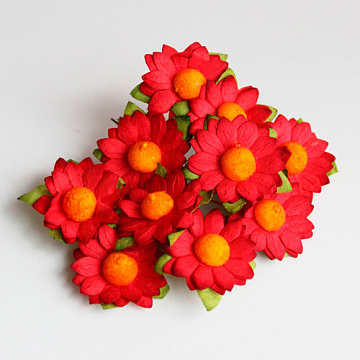 Букет ромашек "Красные" (Craft)